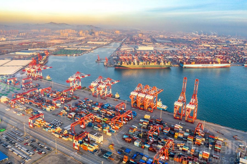 Cảng Thanh Đảo – Qingdao Port.